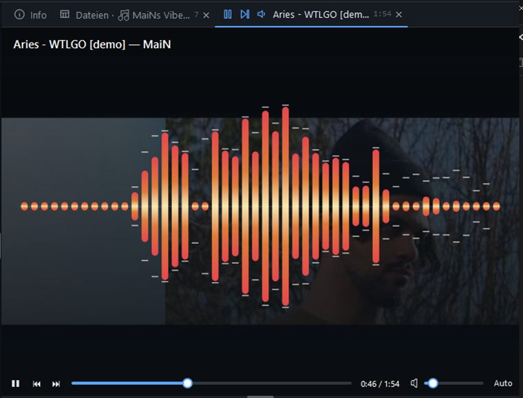 Mediaplayer mit mehreren Tabs und Visualizer